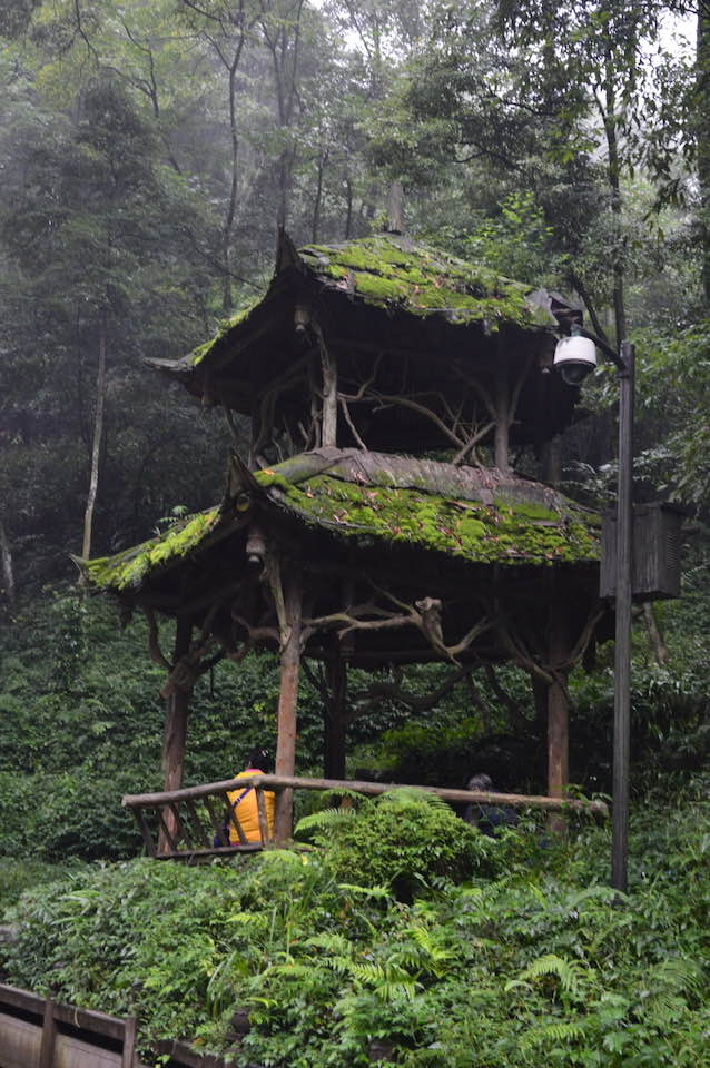 Ancient wooden pavilion